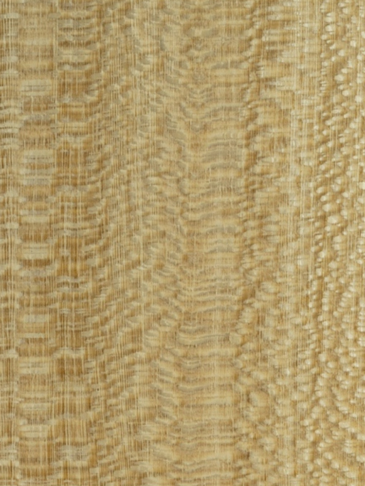 Dyed Lacewood 03